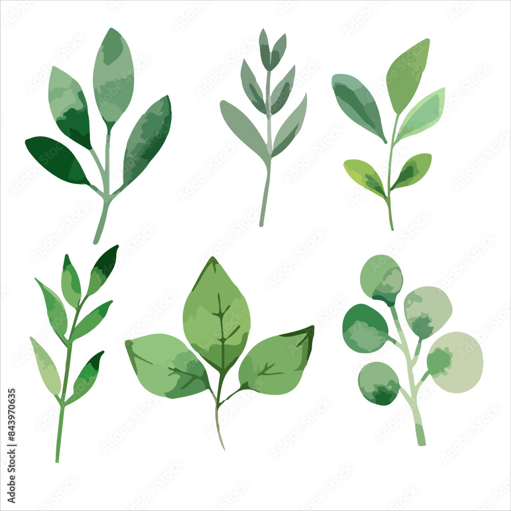 a set of four different leaves on a white background a set of four different leaves on a white background