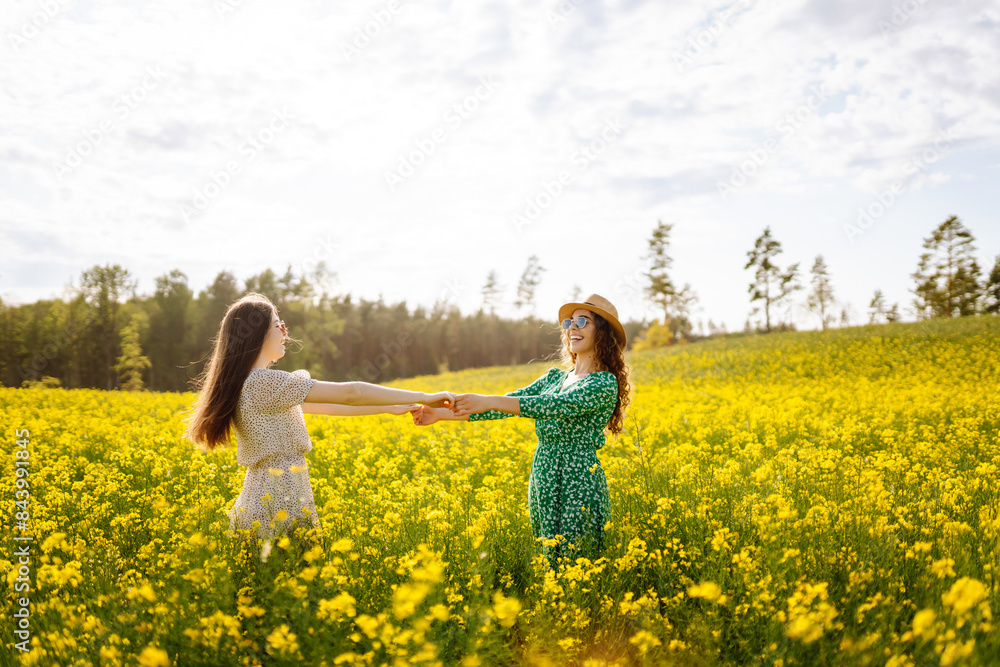 Two Beautiful women in dress enjoys summer time, spending leisure time, gathering wild flowers. Two Beautiful women in dress enjoys summer time, spending leisure time, gathering wild flowers.