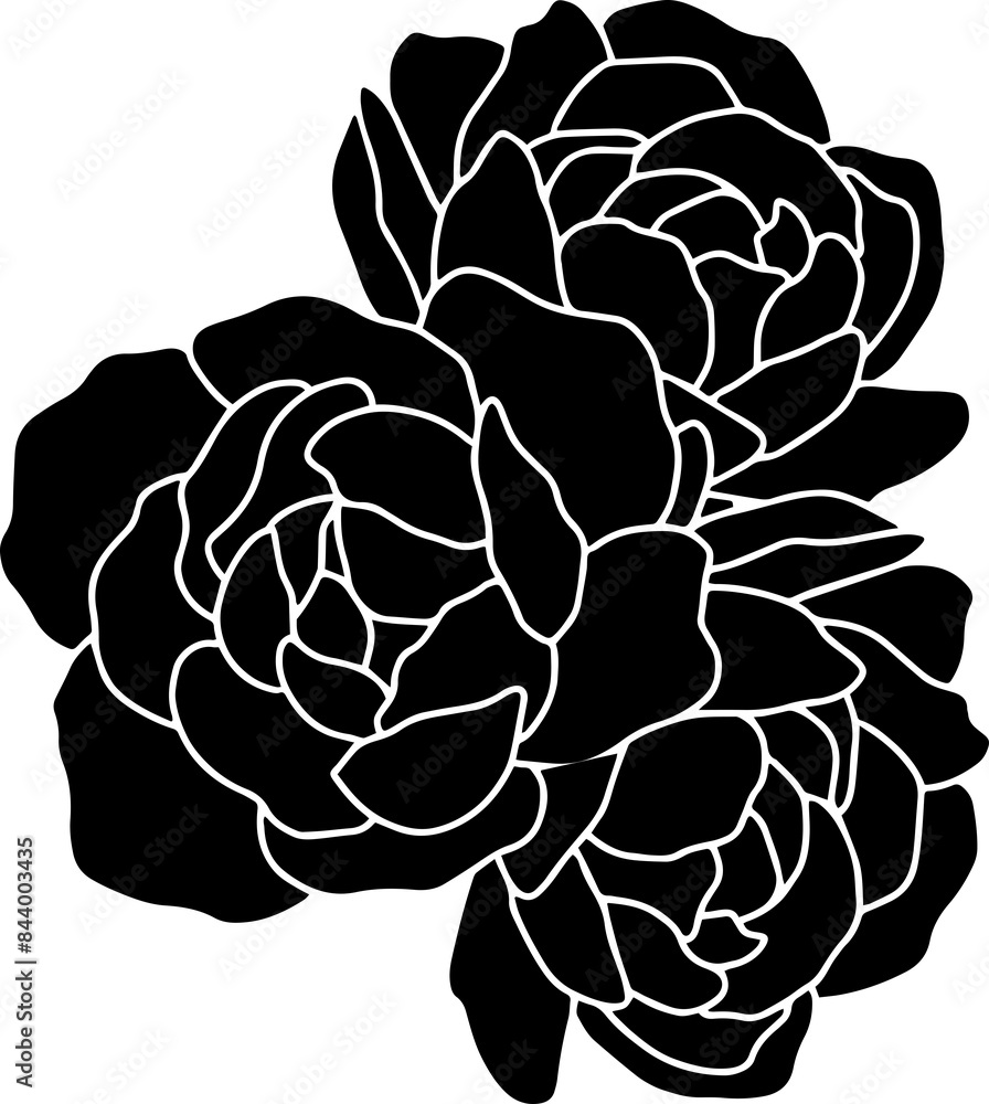 Minimalistic illustration of peonies Minimalistic illustration of peonies
