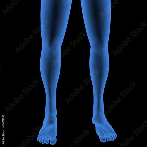 3d rendered illustration of a human male legs © omarifx