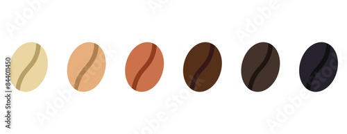 Coffee strength scale, different colour beans to show intensity or roast, vector illustration isolated on white background. Coffee beans showing various stage of roasting.
