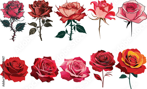 Various roses in vector format