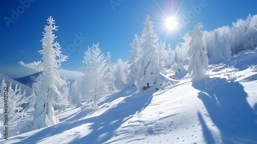 Wallpaper Mural 雪に覆われた松林 Torontodigital.ca