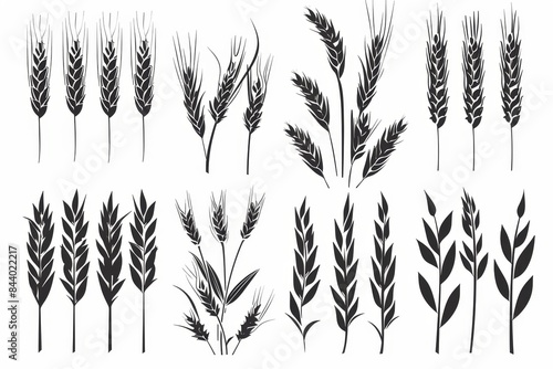 Wheat icon, rye ears sign, barley emblem, oats, cereals symbol, wheat ear, seeds, corns set
