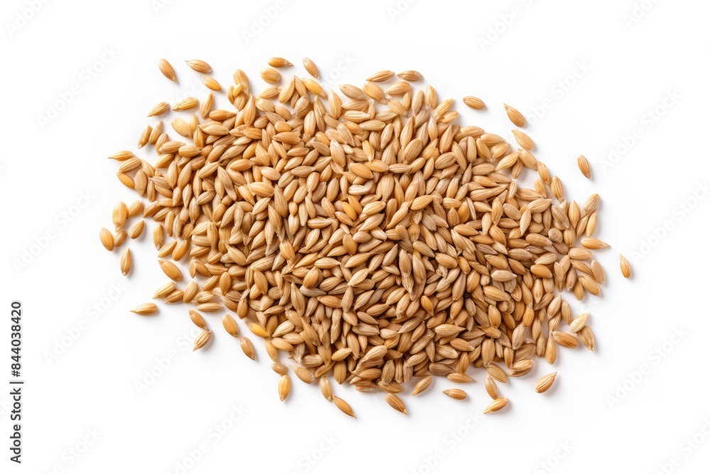 Wheat Grains Isolated, Barley Pile, Dry Cereal Seeds for Bread, Spelta Healthy Organic Food, Wheat Grains Wheat Grains Isolated, Barley Pile, Dry Cereal Seeds for Bread, Spelta Healthy Organic Food, Wheat Grains
