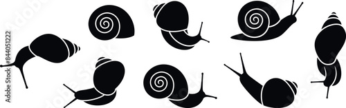 Grape snail logo. Isolated grape snail on white background