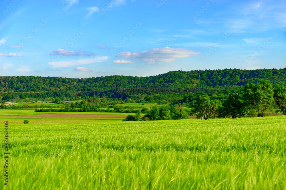 Beautiful summer calm landscapes of Bavaria. Beautiful summer calm landscapes of Bavaria.