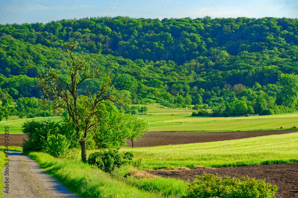 Beautiful summer calm landscapes of Bavaria. Beautiful summer calm landscapes of Bavaria.