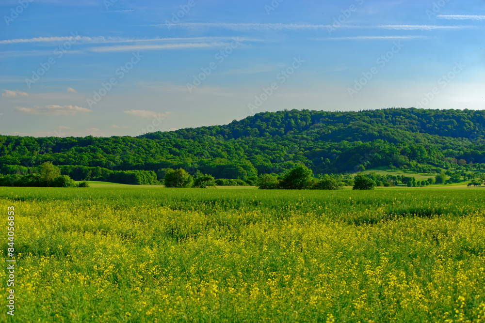 Beautiful summer calm landscapes of Bavaria. Beautiful summer calm landscapes of Bavaria.