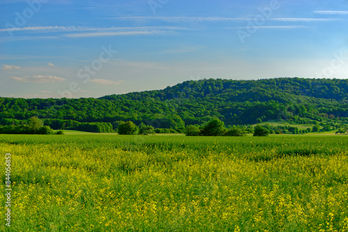 Beautiful summer calm landscapes of Bavaria.