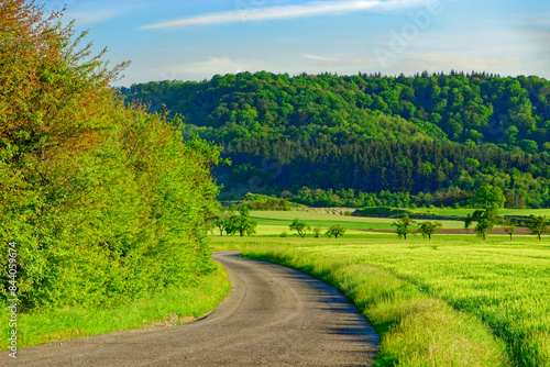 Beautiful summer calm landscapes of Bavaria.