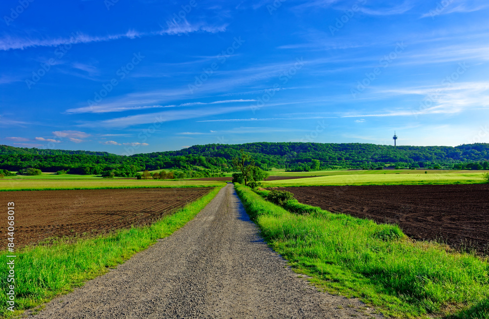 Beautiful summer calm landscapes of Bavaria. Beautiful summer calm landscapes of Bavaria.