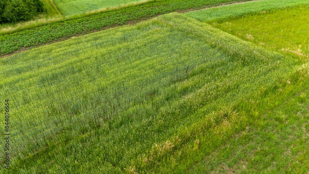 Aerial view on the countryside and the agricultural field Aerial view on the countryside and the agricultural field