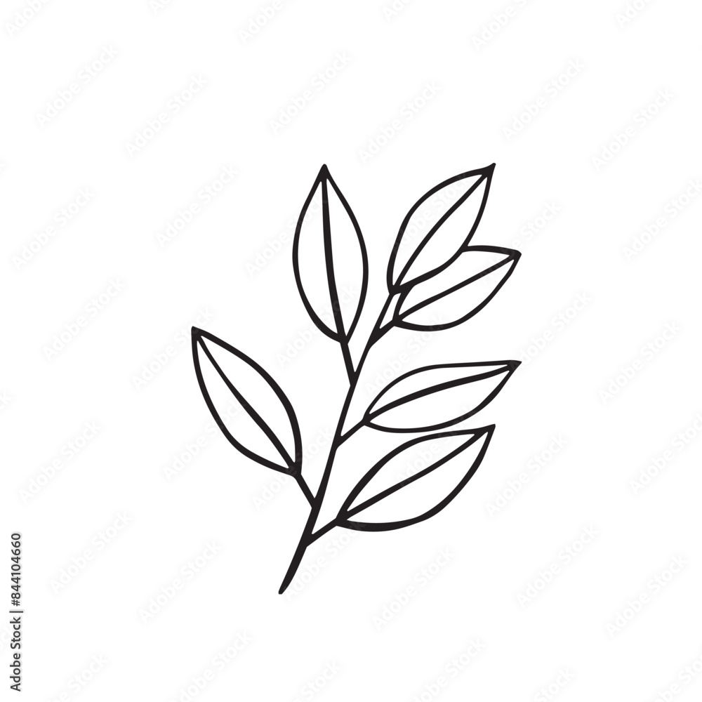 Flower and greenery frame and border