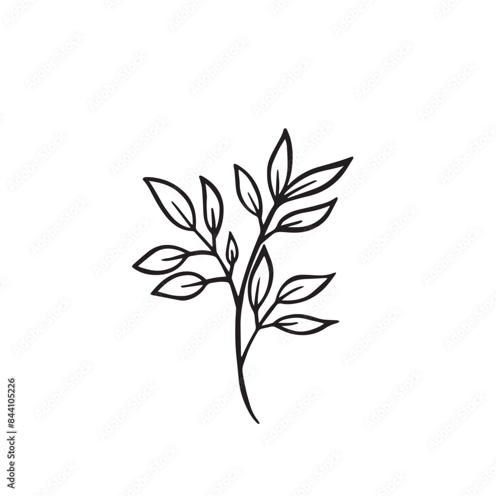 Flower and greenery frame and border Flower and greenery frame and border