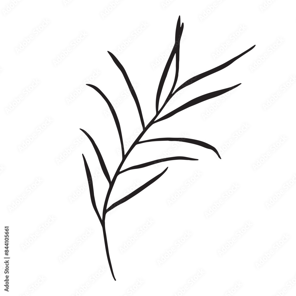 Obraz premium Flower and greenery frame and border