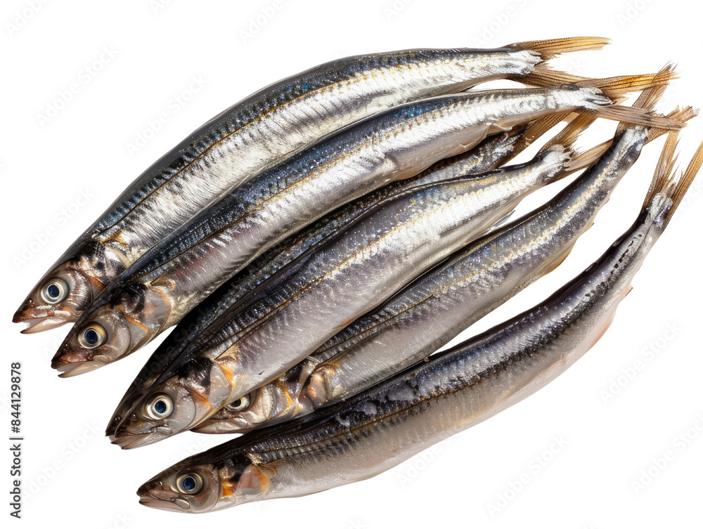 Fresh sardines displayed against a white background, perfect for culinary and food-related projects. High-resolution stock photo. Fresh sardines displayed against a white background, perfect for culinary and food-related projects. High-resolution stock photo.
