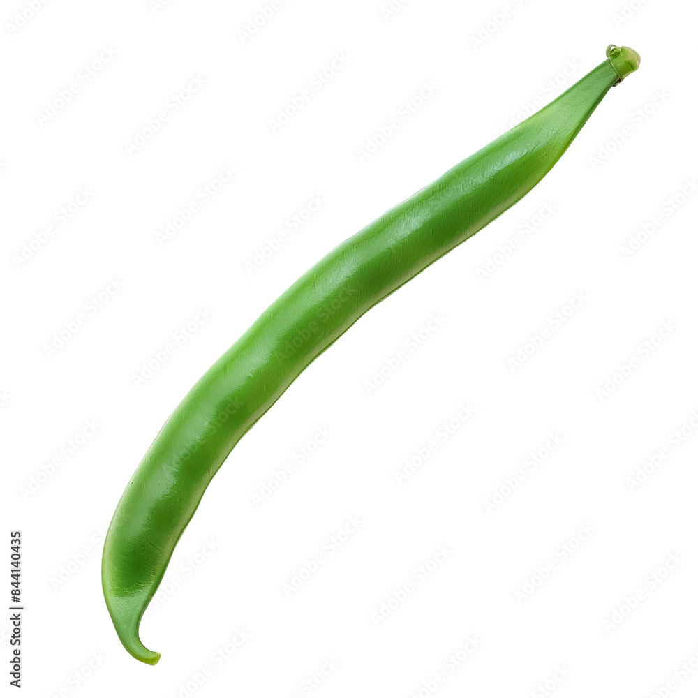 Green Bean A single long green bean with a slightly Green Bean A single long green bean with a slightly