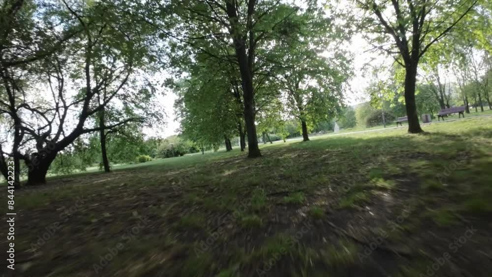 Immerse yourself in the beauty of nature with this captivating video of a leisurely walk through a stunning park. The lush green trees, vibrant flowers, and tranquil atmosphere create a serene and Immerse yourself in the beauty of nature with this captivating video of a leisurely walk through a stunning park. The lush green trees, vibrant flowers, and tranquil atmosphere create a serene and