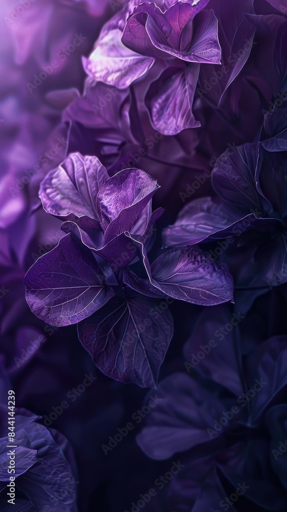 Purple Leaves in Soft Light Purple Leaves in Soft Light