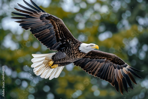 An image showcasing a majestic bald eagle in mid-flight, displaying its impressive wingspan with feathers fully spread, against a blurred green forest backdrop, capturing a sense of freedom and power