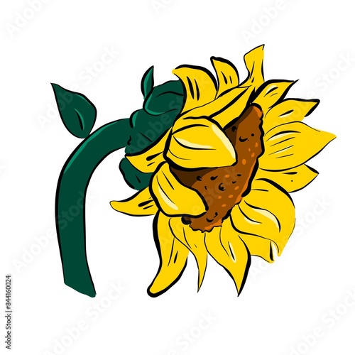 Sunflower pop art illustration in simple didgital style photo