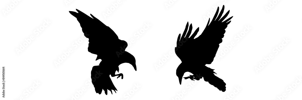 silhouette illustration background crow stlye for a halloween day silhouette illustration background crow stlye for a halloween day