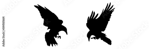 silhouette illustration  background crow stlye