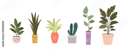 Plants in Flowerpots. Home Decor. A Collection of Various Houseplants. Hand-Drawn Vector Illustrations on White Background. Isolated and Ready for Use.