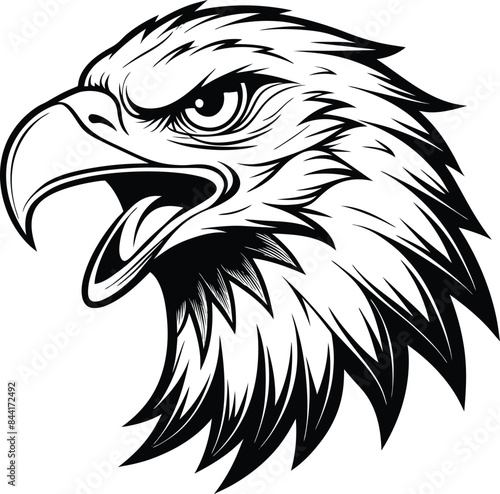 eagle head mascot isolated on white background eps 10