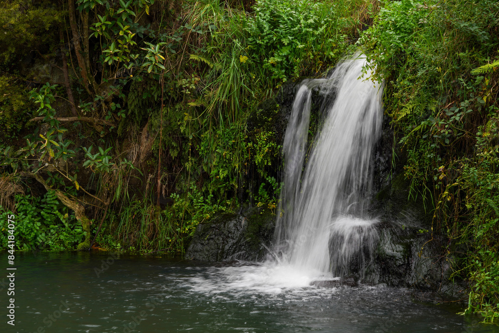 Tranquil Waterfall in Lush Green Forest Tranquil Waterfall in Lush Green Forest