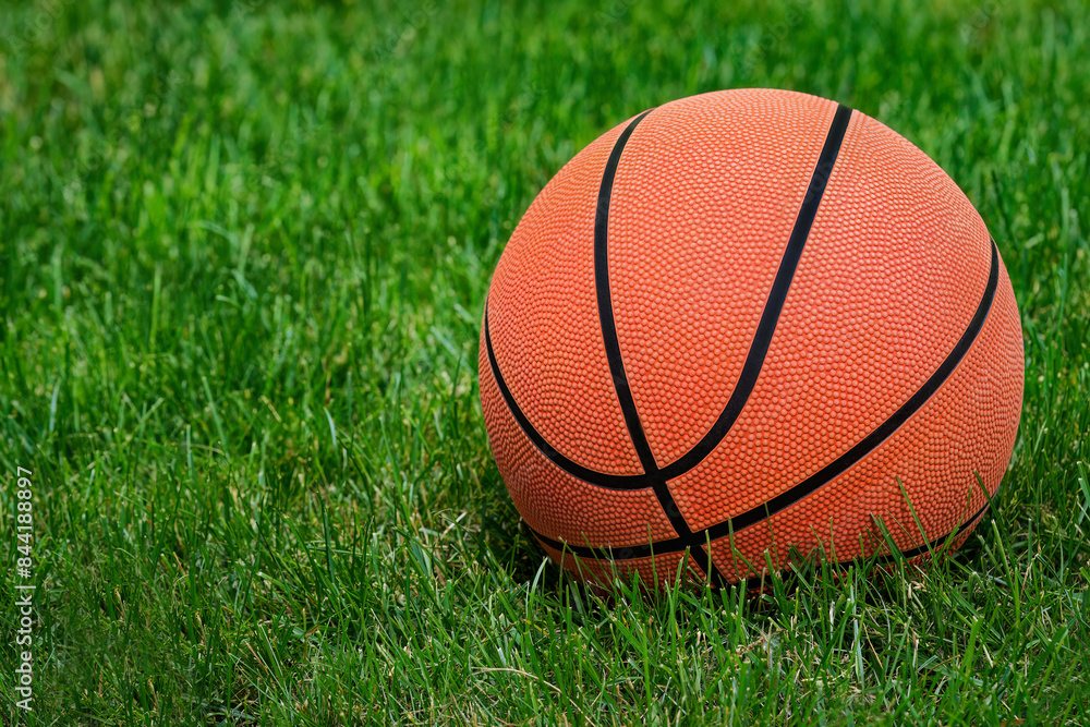 A basketball rests on green grass, seemingly ready for play. The ball is detailed with recognizable black lines and dimples. A basketball rests on green grass, seemingly ready for play. The ball is detailed with recognizable black lines and dimples.