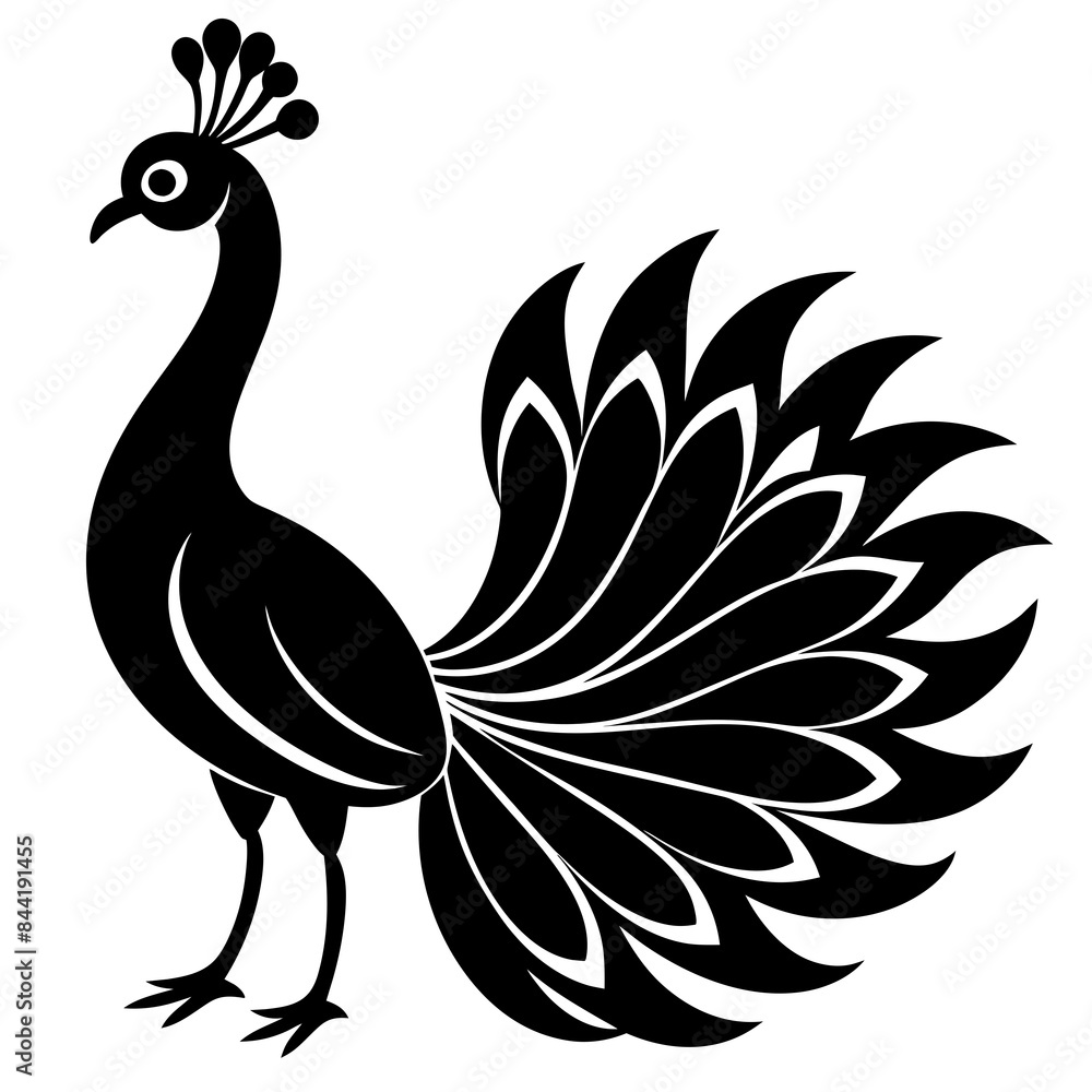 Fototapeta premium Beautiful silhouette peacock vector illustration. 