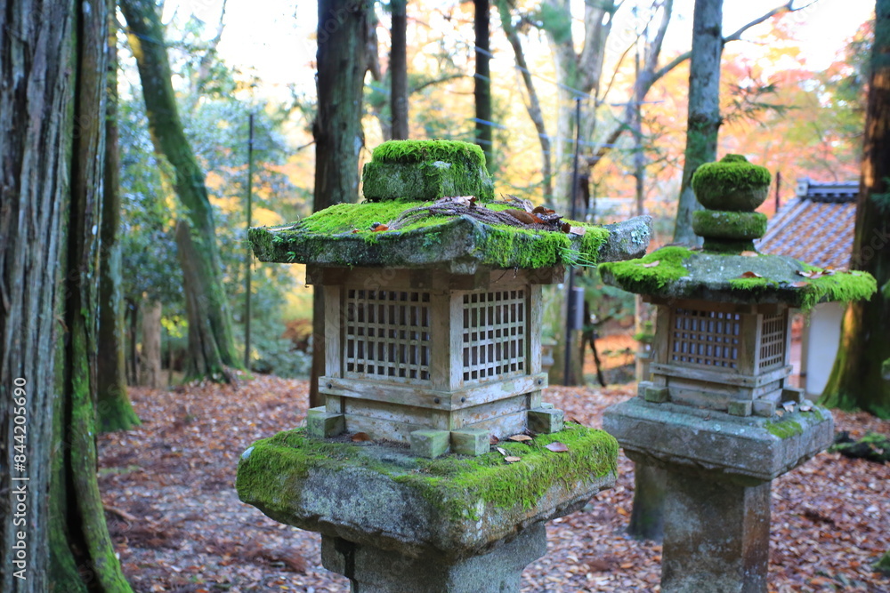 stone lantern or stone tower call Toro which is one of traditional building in Nara, Japan stone lantern or stone tower call Toro which is one of traditional building in Nara, Japan