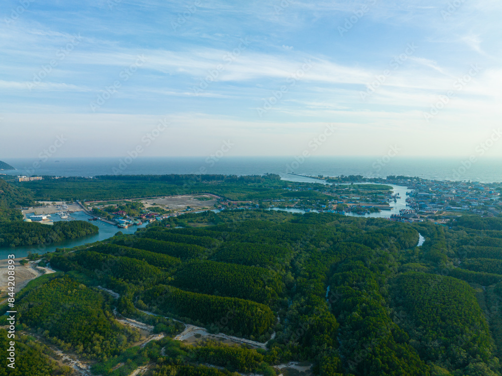 Aerial view tropical green tree mangrove forest river to sea bay Aerial view tropical green tree mangrove forest river to sea bay