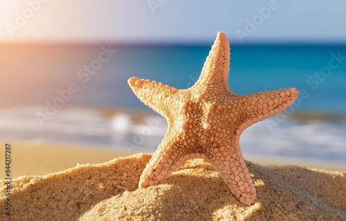 sea star on a very bright beach, with a blurred background in a sunny day 