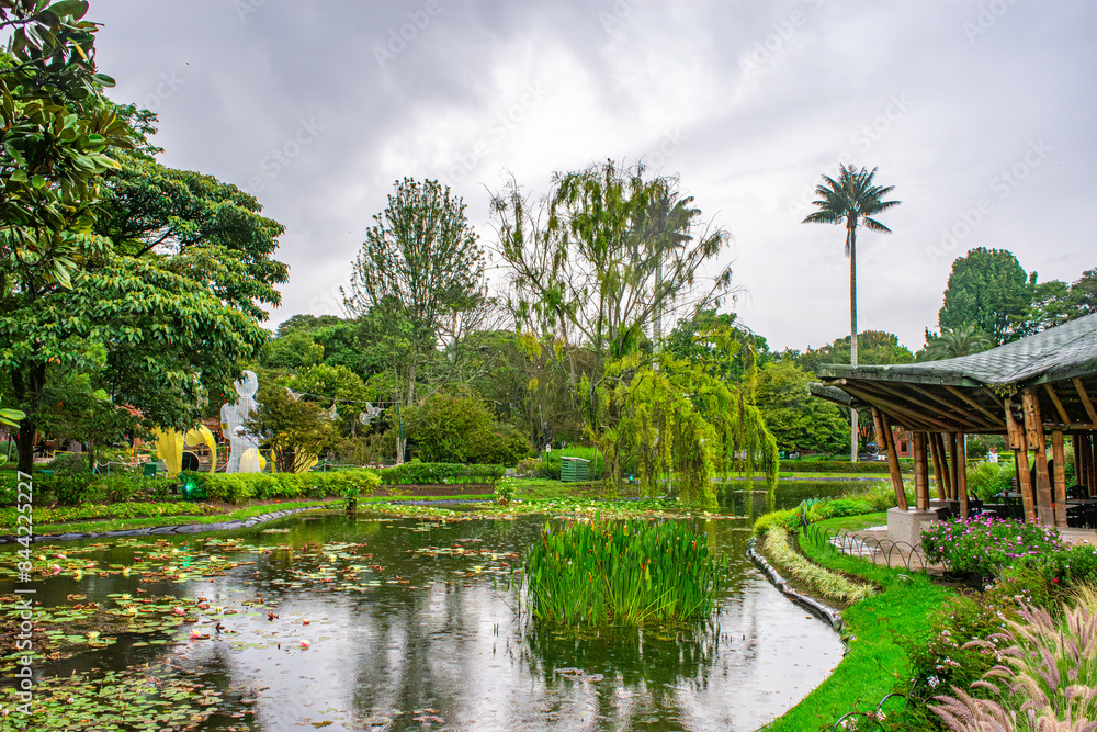 Tranquil Tropical Oasis in Urban Colombia Tranquil Tropical Oasis in Urban Colombia