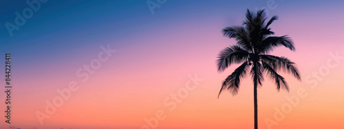 Silhouettes of palm trees against a sunset sky in soft shades of orange, pink and dark blue. Summer concept banner with copy space