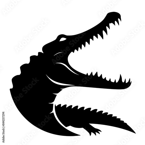 crocodile in black