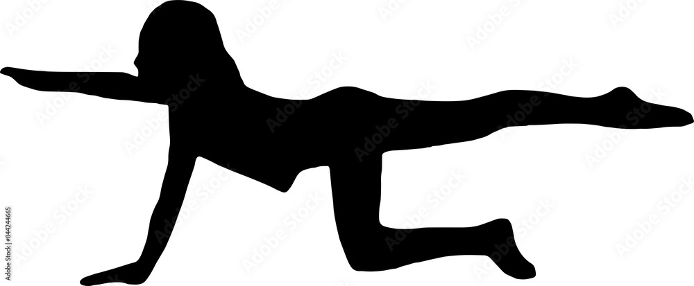 Slim sportive young woman doing yoga & fitness exercises, Healthy lifestyle. for t-shirt graphics, icons, logo, web, posters, print, isolated on transparent background, silhouette of a women PNG Slim sportive young woman doing yoga & fitness exercises, Healthy lifestyle. for t-shirt graphics, icons, logo, web, posters, print, isolated on transparent background, silhouette of a women PNG