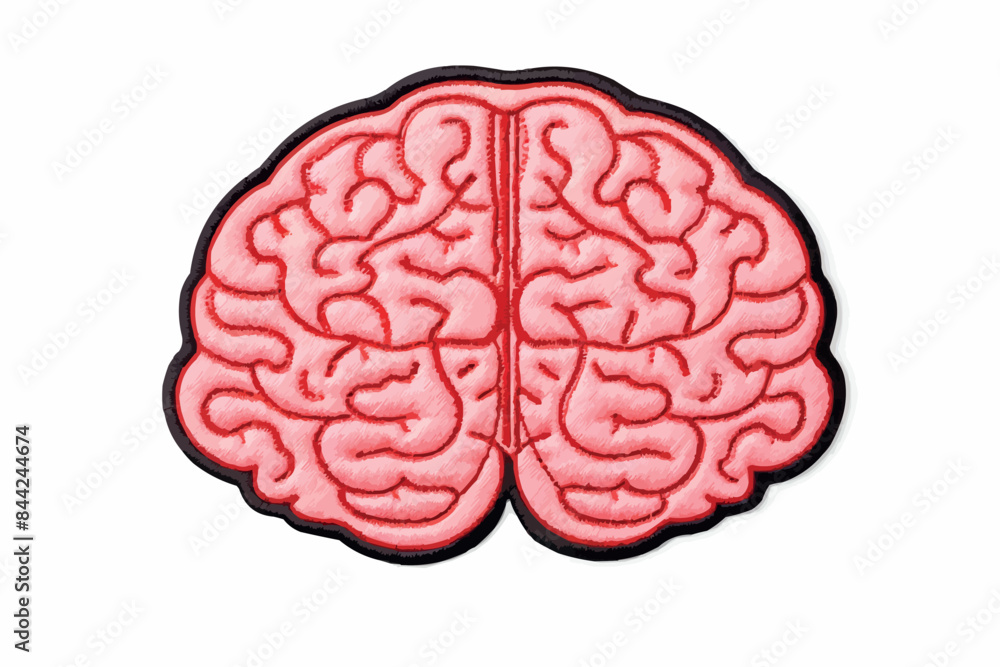 human brain anatomy to creative and intellect human brain anatomy to creative and intellect