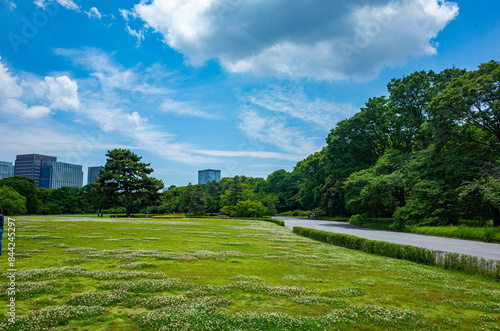皇居東御苑にある大芝生