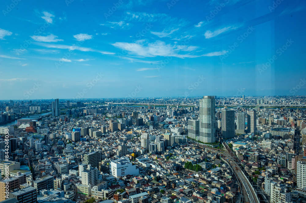 Fototapeta premium 東京スカイツリーの隣の高層ビルからの東京の街並み