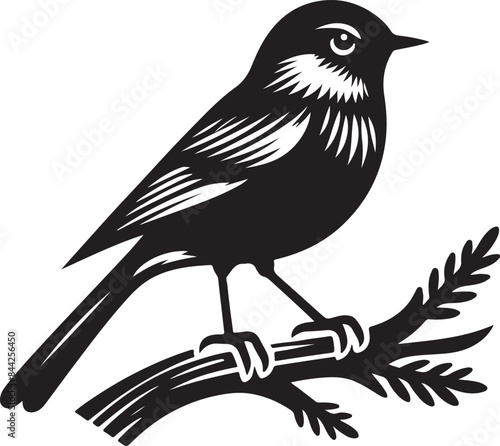 bird silhuette vector 2