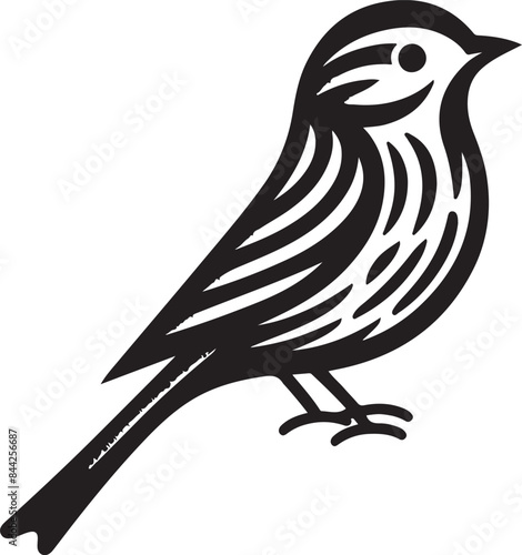 bird silhuette vector 2