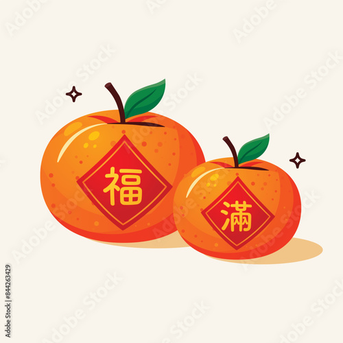 Chinese mandarins orange with Chinese characters BLESSING and FULL red labels illustration. Isolated background.