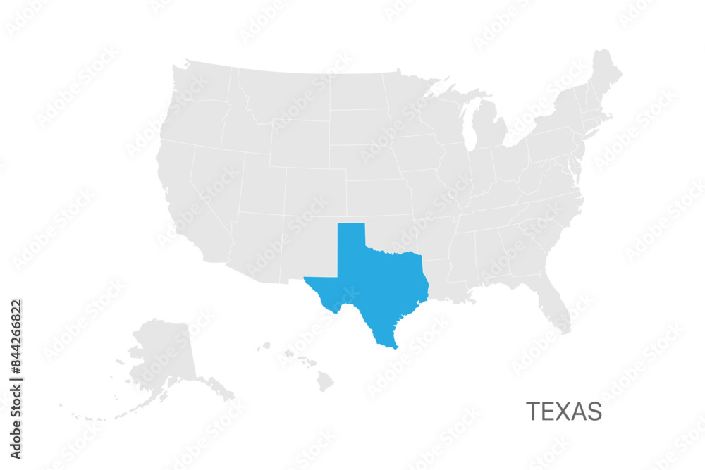 Fototapeta premium USA map with Texas state highlighted easy editable for design
