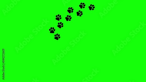 Dow paw prints on green screen background