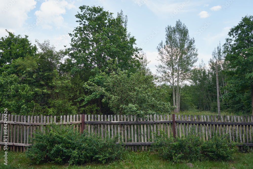 płot płot