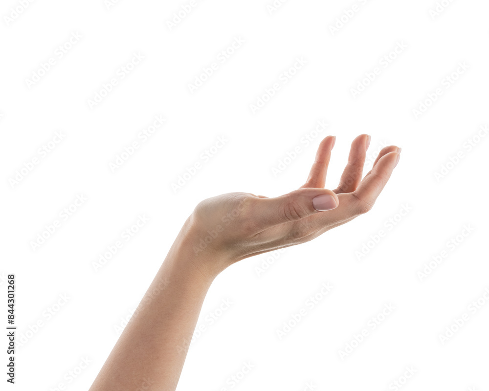 Female cupped hand to hold something isolated on white Female cupped hand to hold something isolated on white